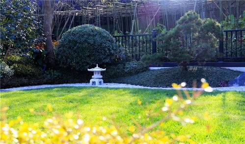 融創(chuàng)莫干溪谷景觀(guān)工程 賽石精品工程的匠心之作