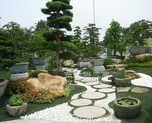 合肥道路景觀(guān)綠化工程施工 安徽天倫市政建設(shè)公司的專(zhuān)業(yè)實(shí)踐